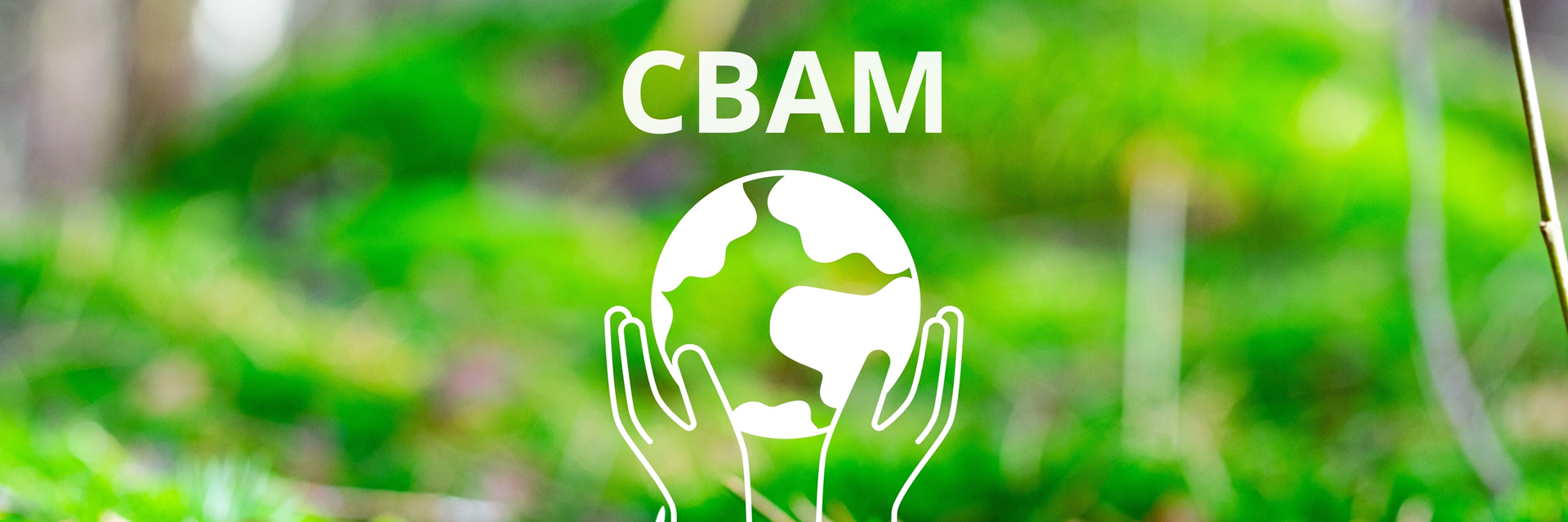 Rethinking Europe’s Carbon Border Adjustment Mechanism