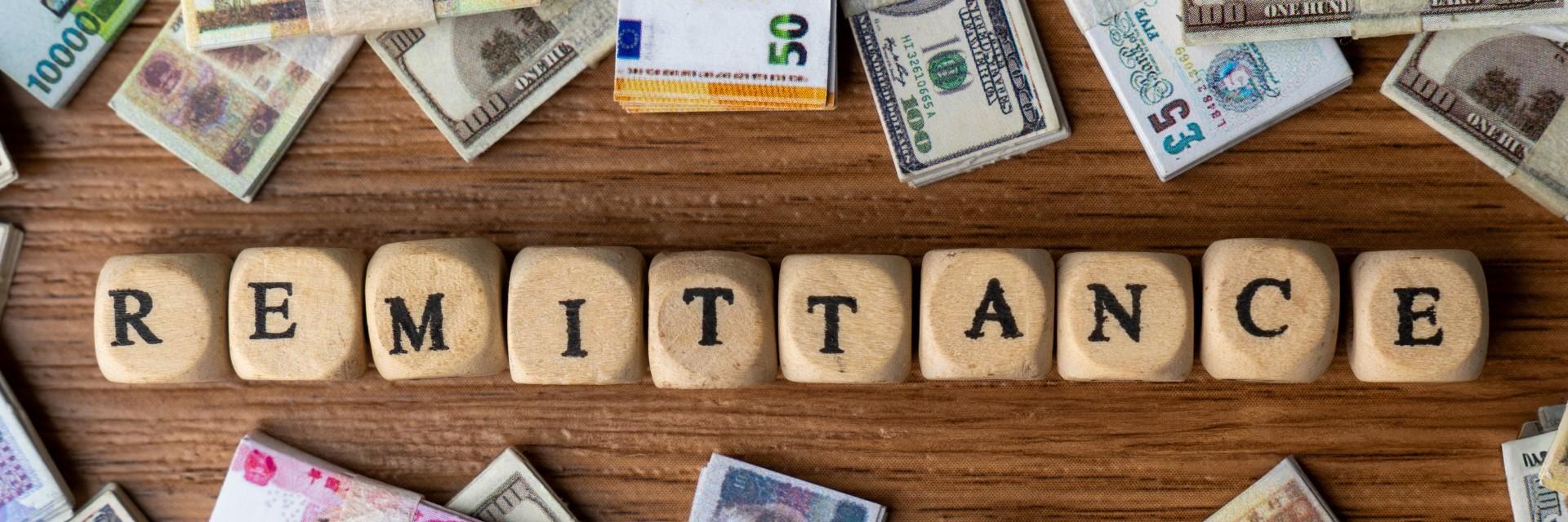 WSSD: African nations forge new Paths to channel diaspora billions into development