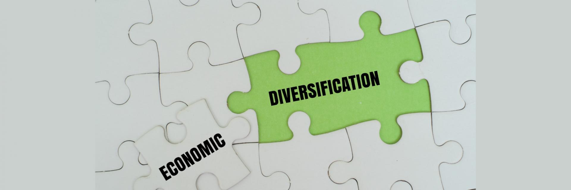 Central Africa: new “Ambassadors for economic diversification” to drive the narrative of structural transformation