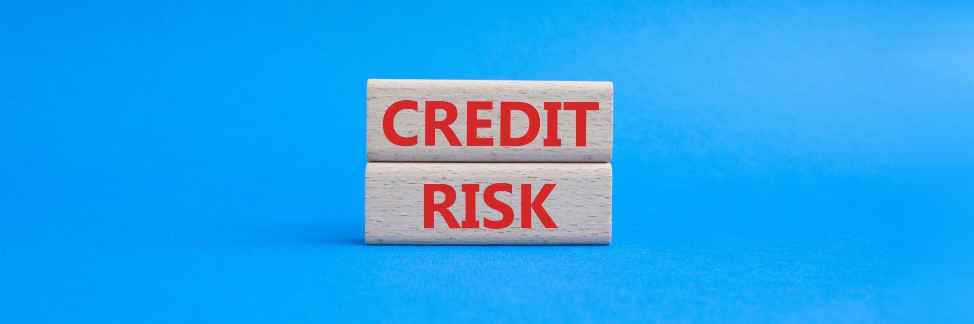 Shaping Africa’s credit risk narrative beyond financial indicators