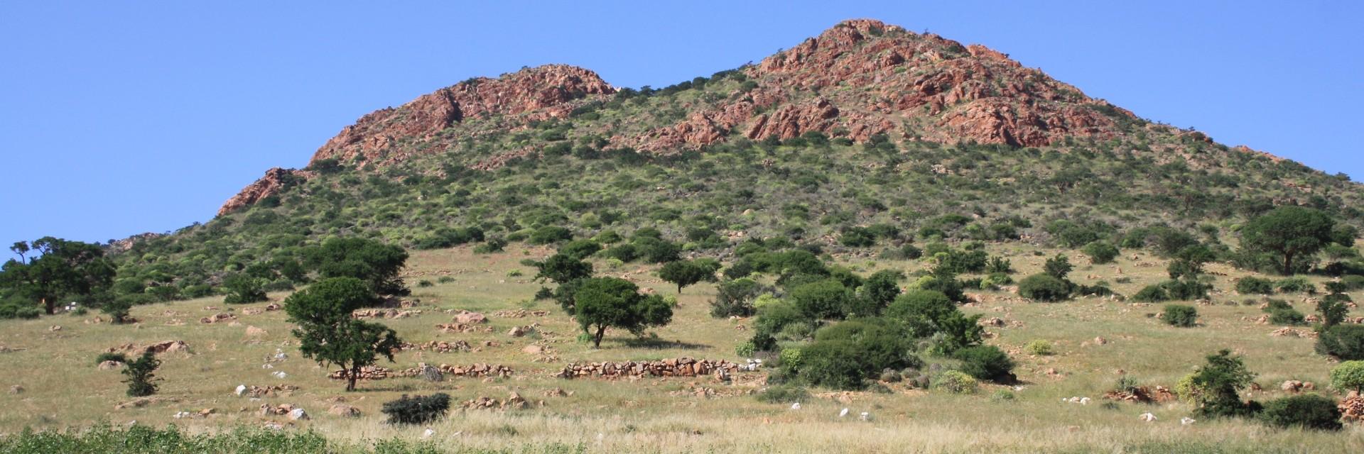 Kenya, UN ECA, AU-IBAR and IGAD launch national effort to build climate resilience in livestock, land and insurance systems