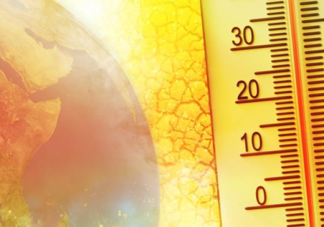 13th Conference on Climate Change and Development in Africa (CCDA-XIII) opens in Addis Ababa