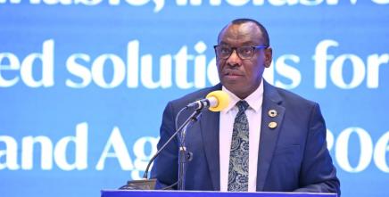 Statement by Mr. Claver Gatete at the eleventh session of the Africa Regional Forum On Sustainable Development (ARFSD-11)