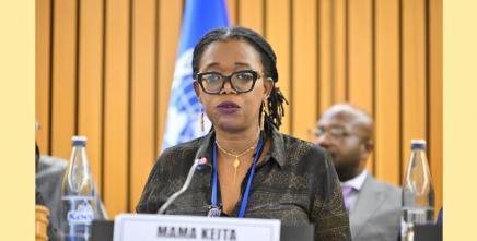 Welcome remarks by DES Mama Keita - Climate–Water–Energy–Food Nexus Solutions for Africa Sustainable Development