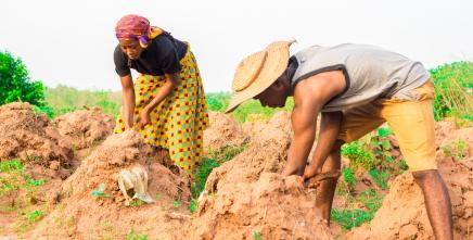Calls for African Governments to intensify efforts to build resilience and protect livelihoods