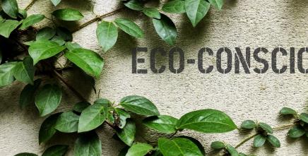 [Blog] One Size Fits None: How Africa is Redefining Sustainability Standards on Its Own Terms