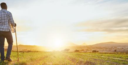 [Blog] We Are the Land, and the Land Is Us