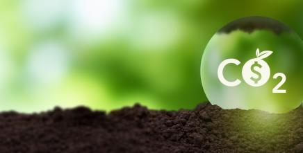 Experts call for the establishment of an African carbon market to effectively reduce greenhouse gas emissions