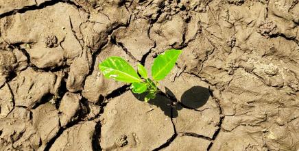 [Guest Blog] From Decolonizing to Liberating Land in Africa’s Changing Climate