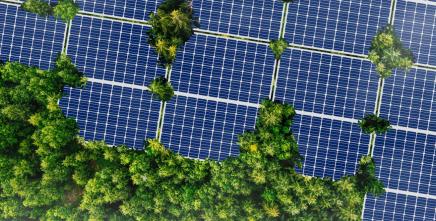 South African Stakeholders Review and Validate Recommendations towards Accelerating Green Industrialization in Southern Africa