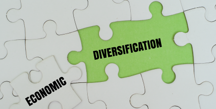 Central African Ambassadors call for stronger political ownership of economic diversification decade reforms