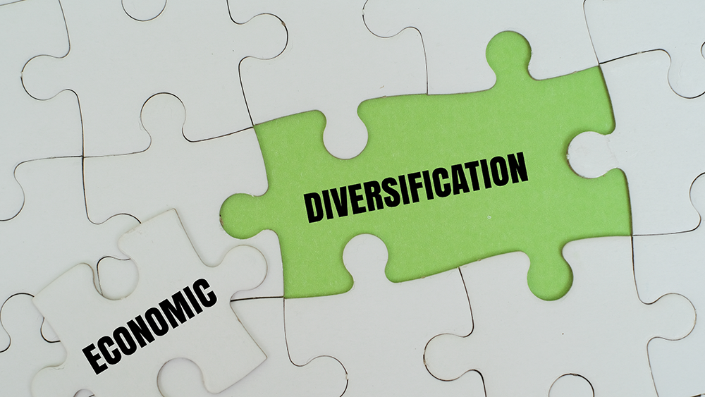 Central African Ambassadors call for stronger political ownership of economic diversification decade reforms