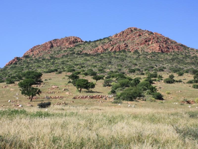 Kenya, UN ECA, AU-IBAR and IGAD launch national effort to build climate resilience in livestock, land and insurance systems