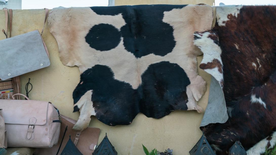Eswatini validates joint procurement framework to unlock value in its leather sector